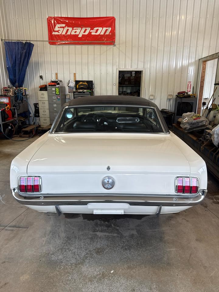 Ford MUSTANG GT  1966