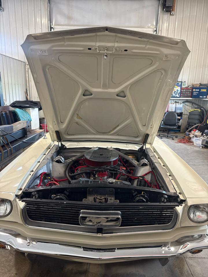 Ford MUSTANG GT  1966