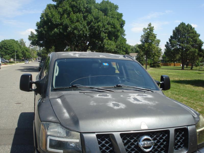 Nissan Titan PRO-4X Crew Cab 4WD SWB 2010 Nissan Titan PRO-4X Crew Cab 4WD SWB 2010