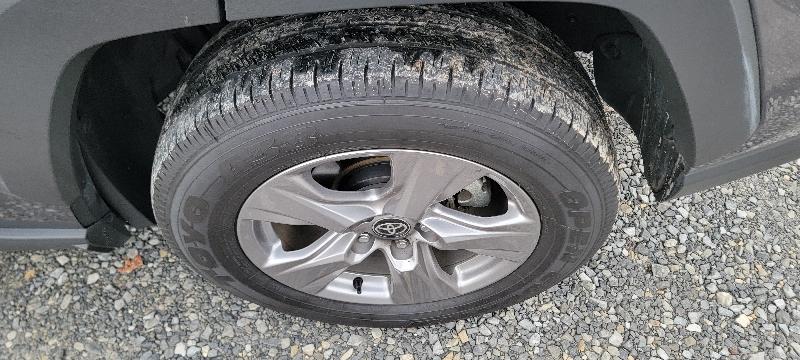 Toyota RAV4 Hybrid LE 2025