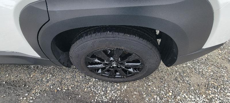 Mazda CX-50 2.5 S Premium 2025