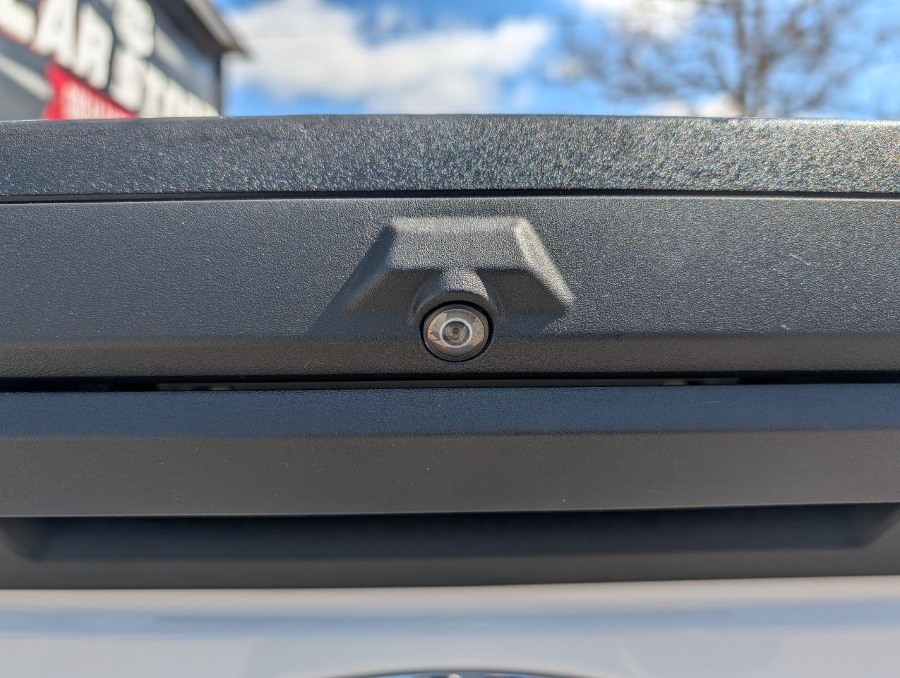 Ford Super Duty F-250 SRW XL 4WD Crew Cab 6.75' Box 2020