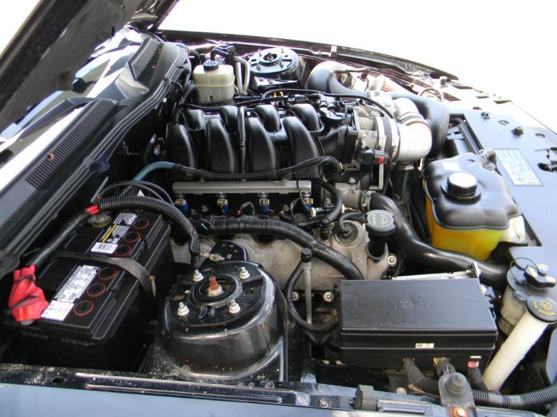 Ford Mustang  2005