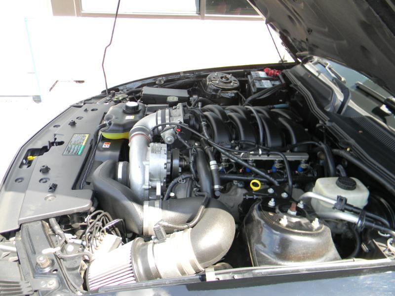 Ford Mustang  2005