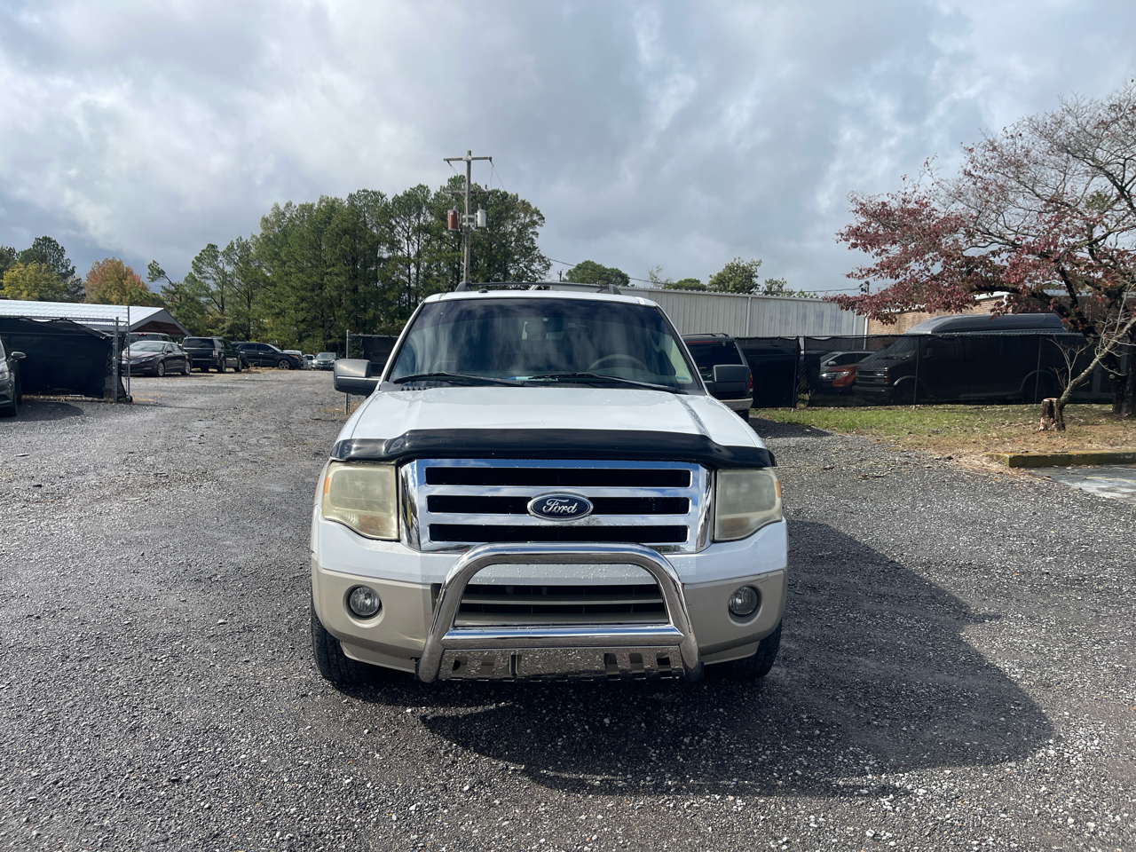 Ford Expedition  2007