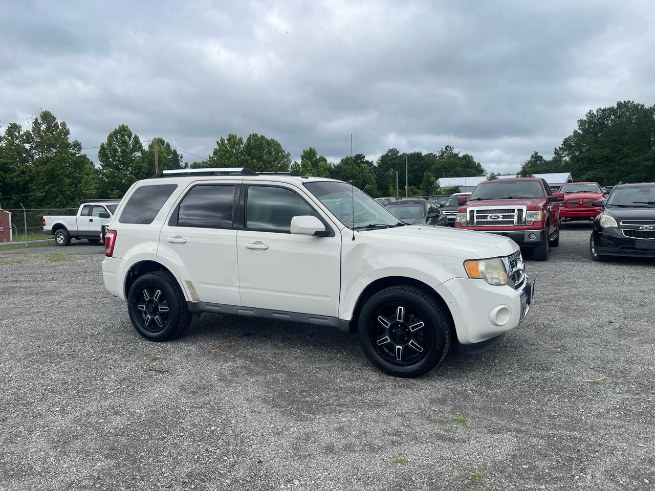 Ford Escape  2010