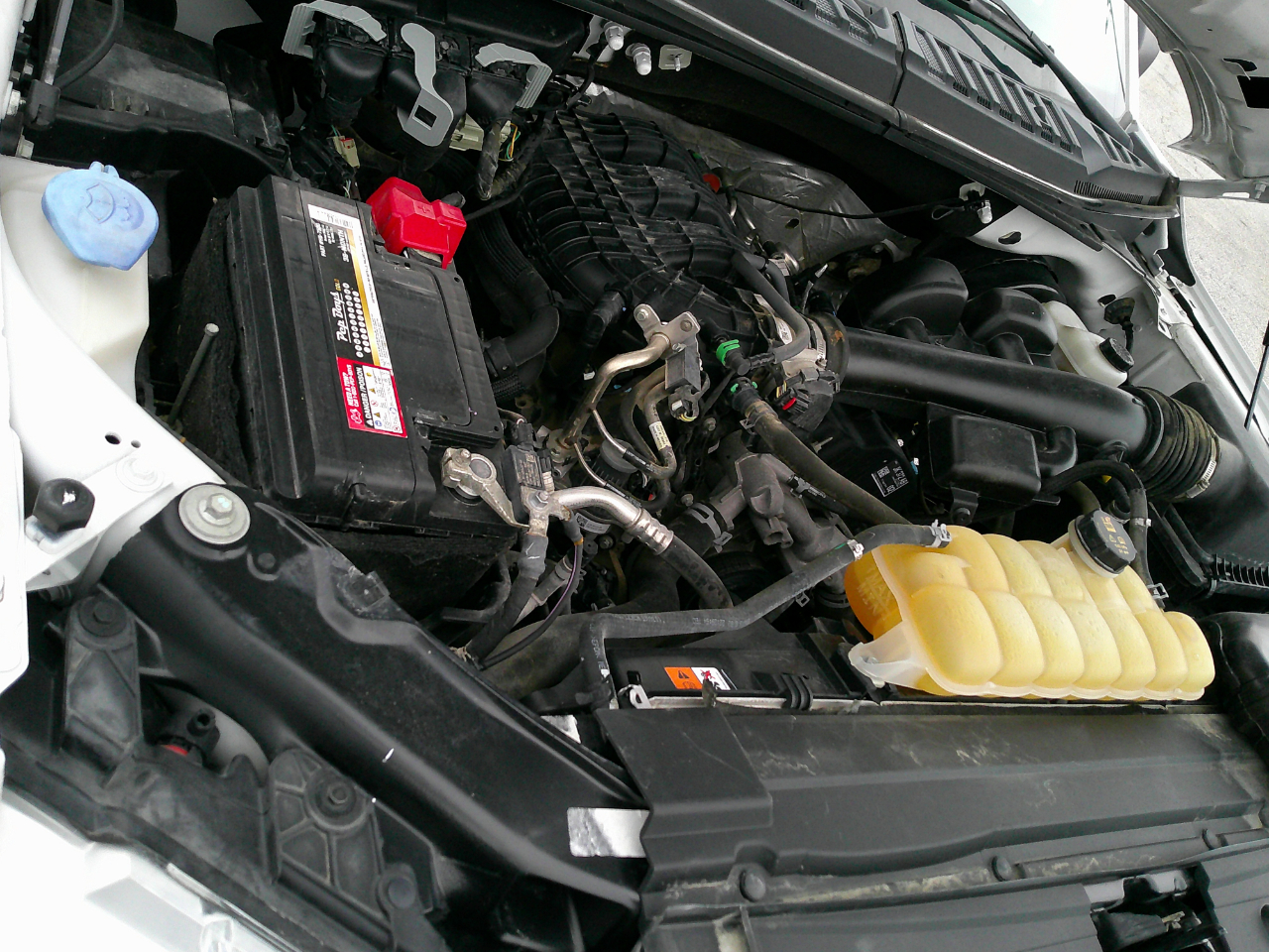 Ford F-150 XL 2WD Reg Cab 8' Box 2019