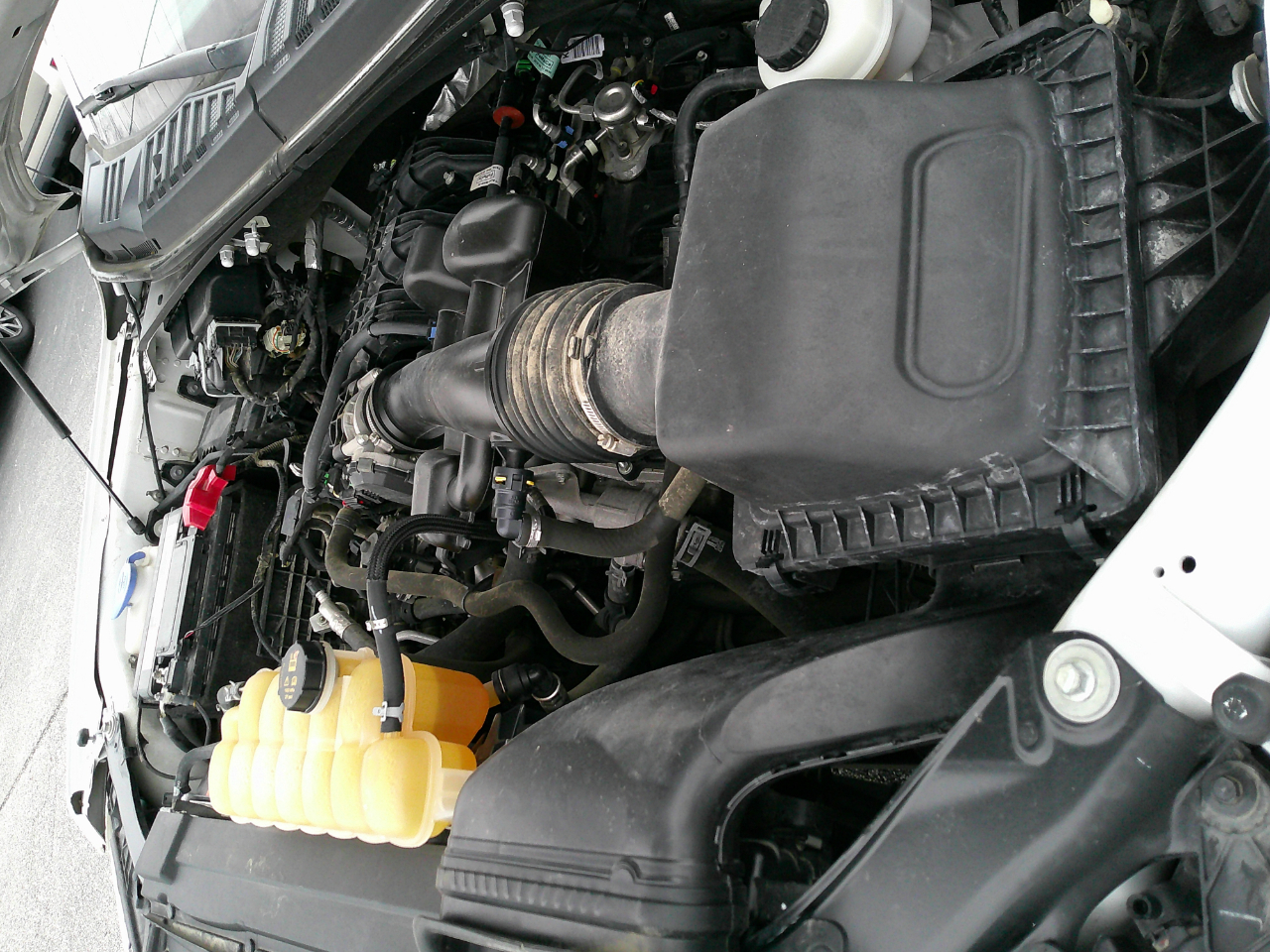 Ford F-150 XL 2WD Reg Cab 8' Box 2019