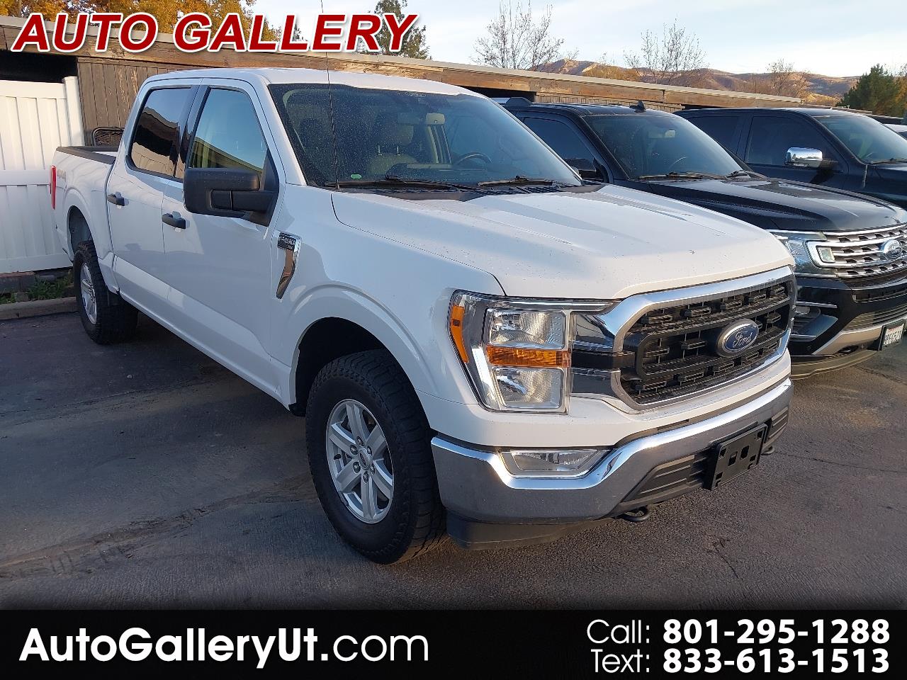 2021 Ford F-150 XLT 4WD SuperCrew 5.5' Box