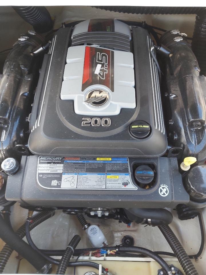 Bayliner Ski Boat  2019