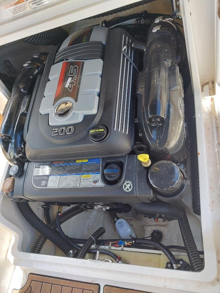Bayliner Ski Boat  2019