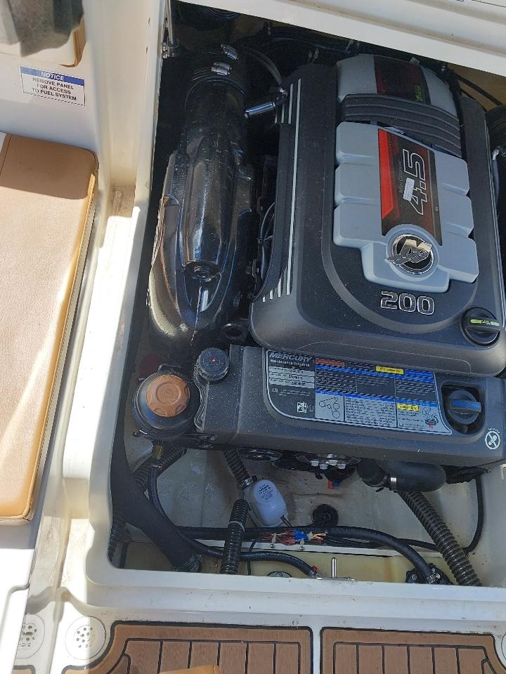 Bayliner Ski Boat  2019