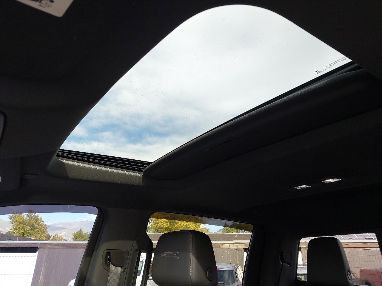 GMC Sierra 1500 4WD Crew Cab 147" AT4 2019