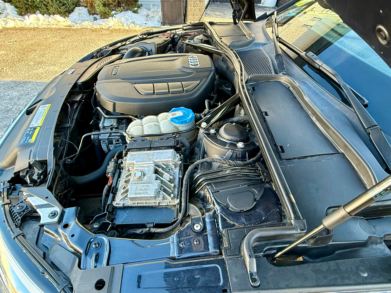 Audi A5 Premium Plus 2D Cabrio Qtro 2.0T 2018