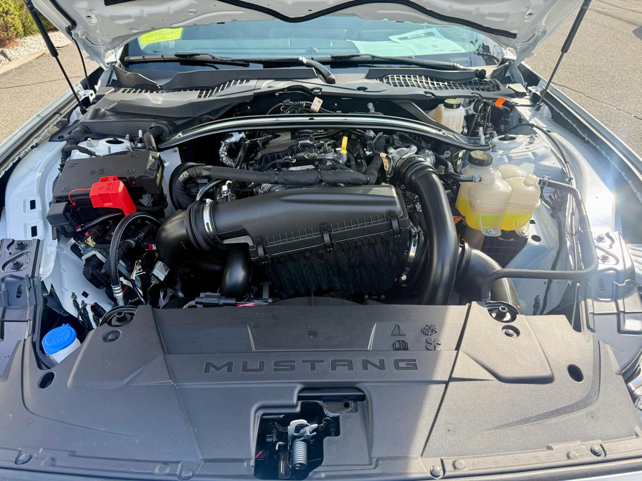 Ford Mustang EcoBoost Premium Convertible 2024