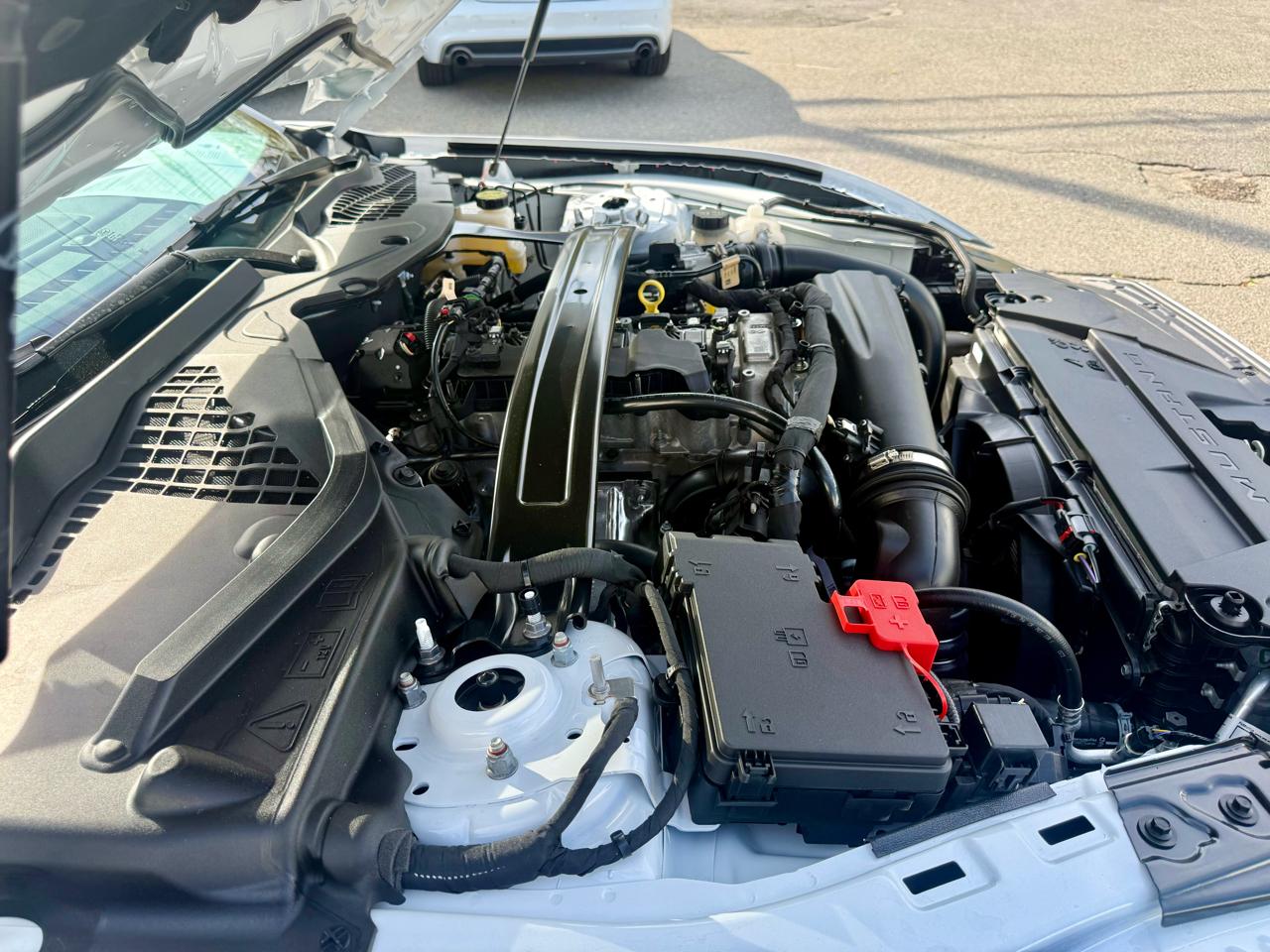 Ford Mustang EcoBoost Premium Convertible 2024