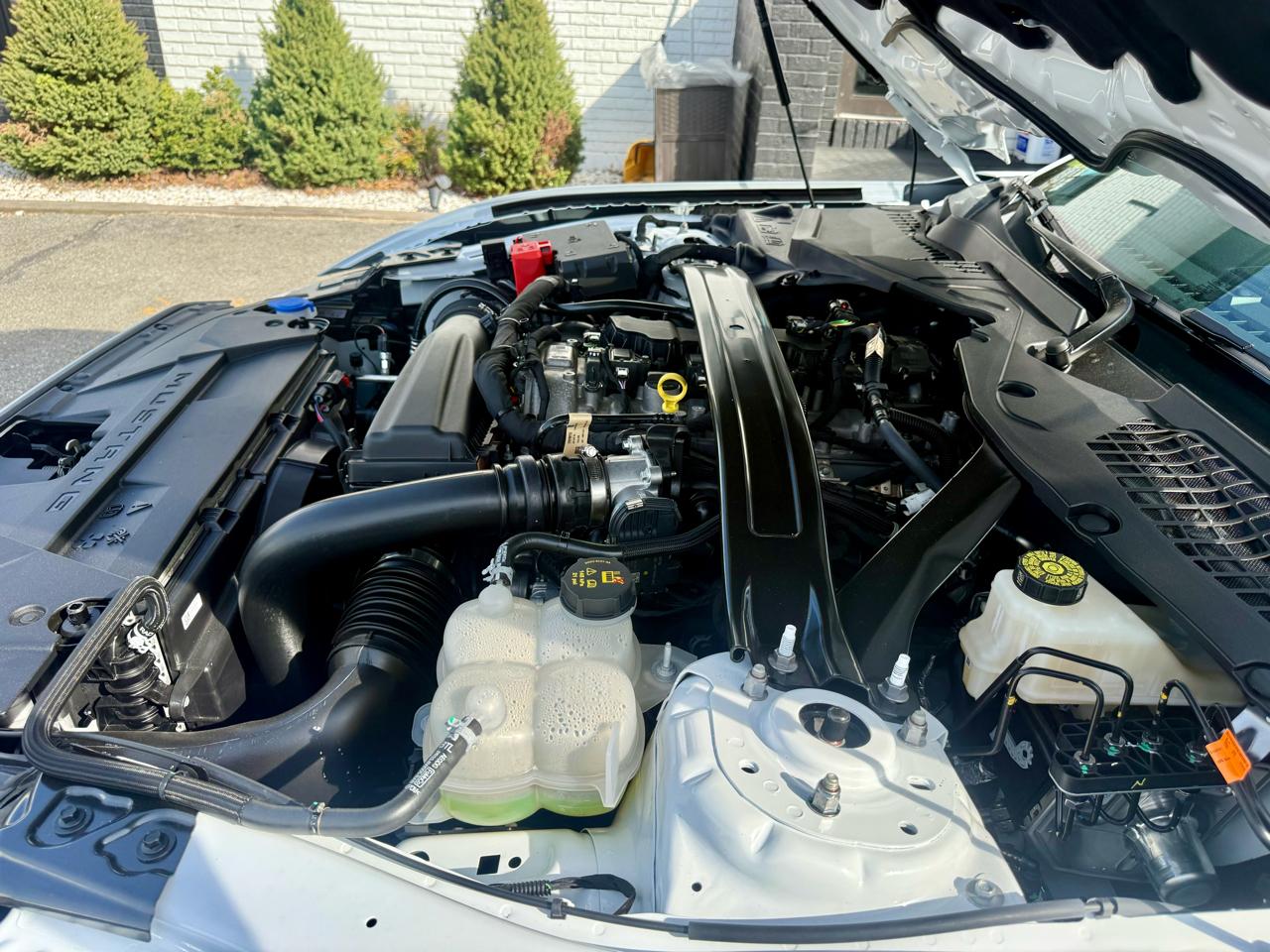 Ford Mustang EcoBoost Premium Convertible 2024