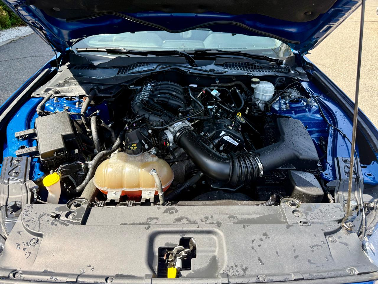 Ford Mustang V6 Coupe 2017