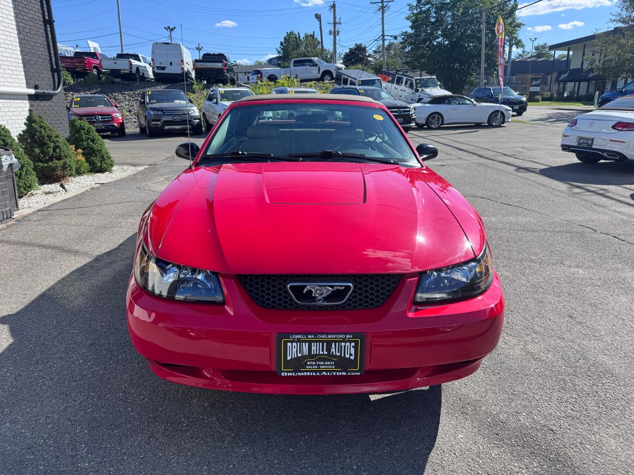 Ford Mustang Deluxe Convertible 2004