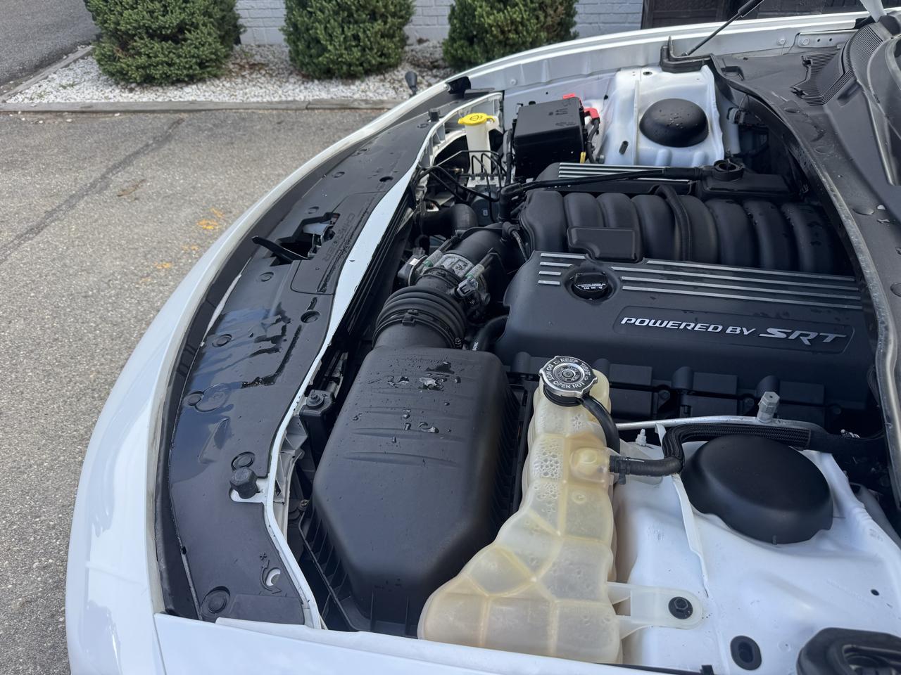 Dodge Charger Scat Pack 2021