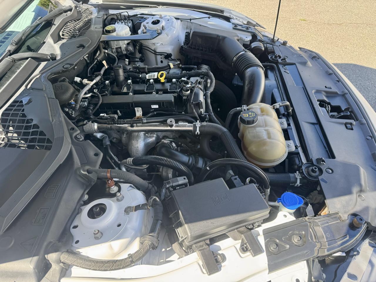 Ford Mustang EcoBoost Premium Convertible 2021