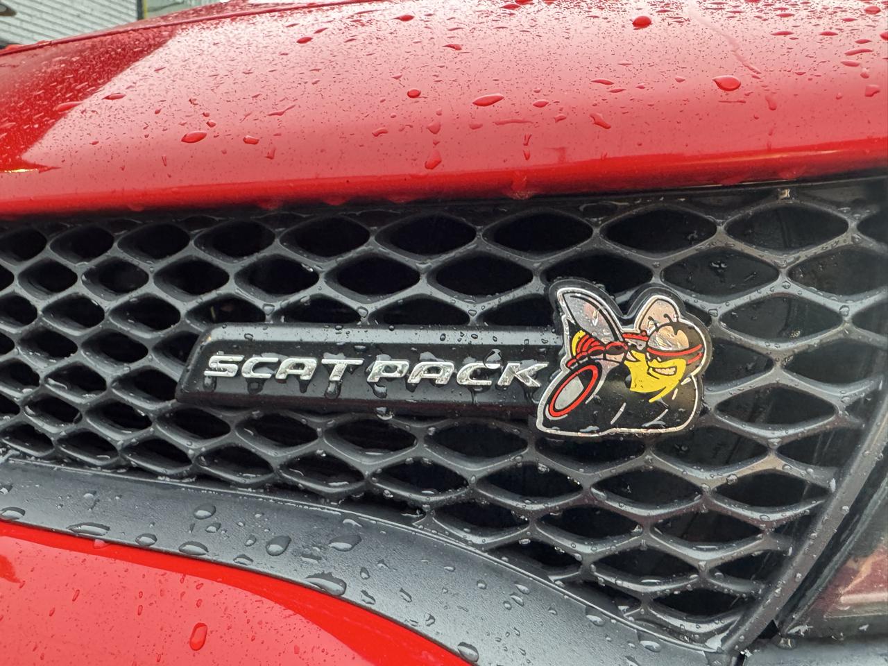 Dodge Charger R/T 392 2018