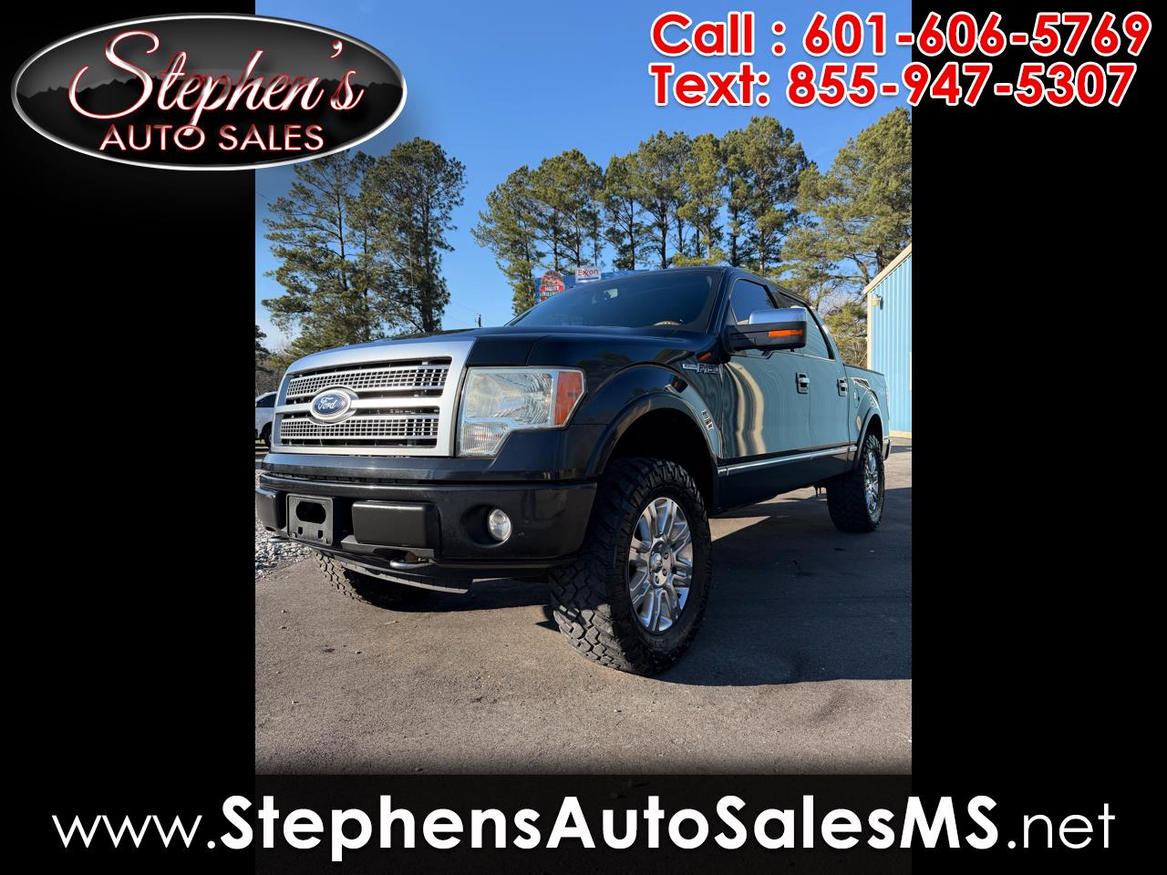 2010 Ford F-150 4WD SuperCrew 145" Platinum