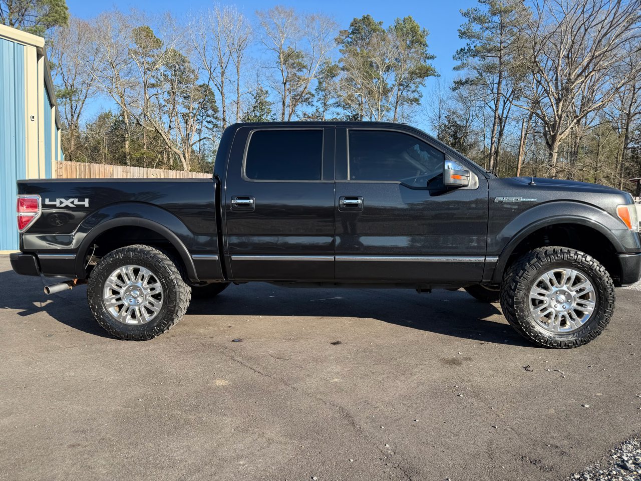 Ford F-150 4WD SuperCrew 145" Platinum 2010