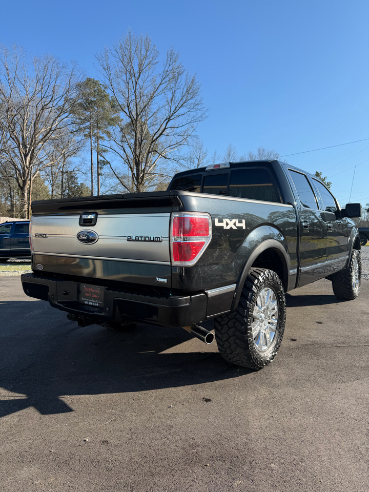 Ford F-150 4WD SuperCrew 145" Platinum 2010