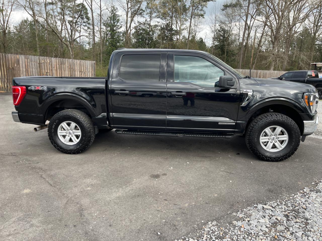 Ford F-150 XLT 4WD SuperCrew 5.5' Box 2023