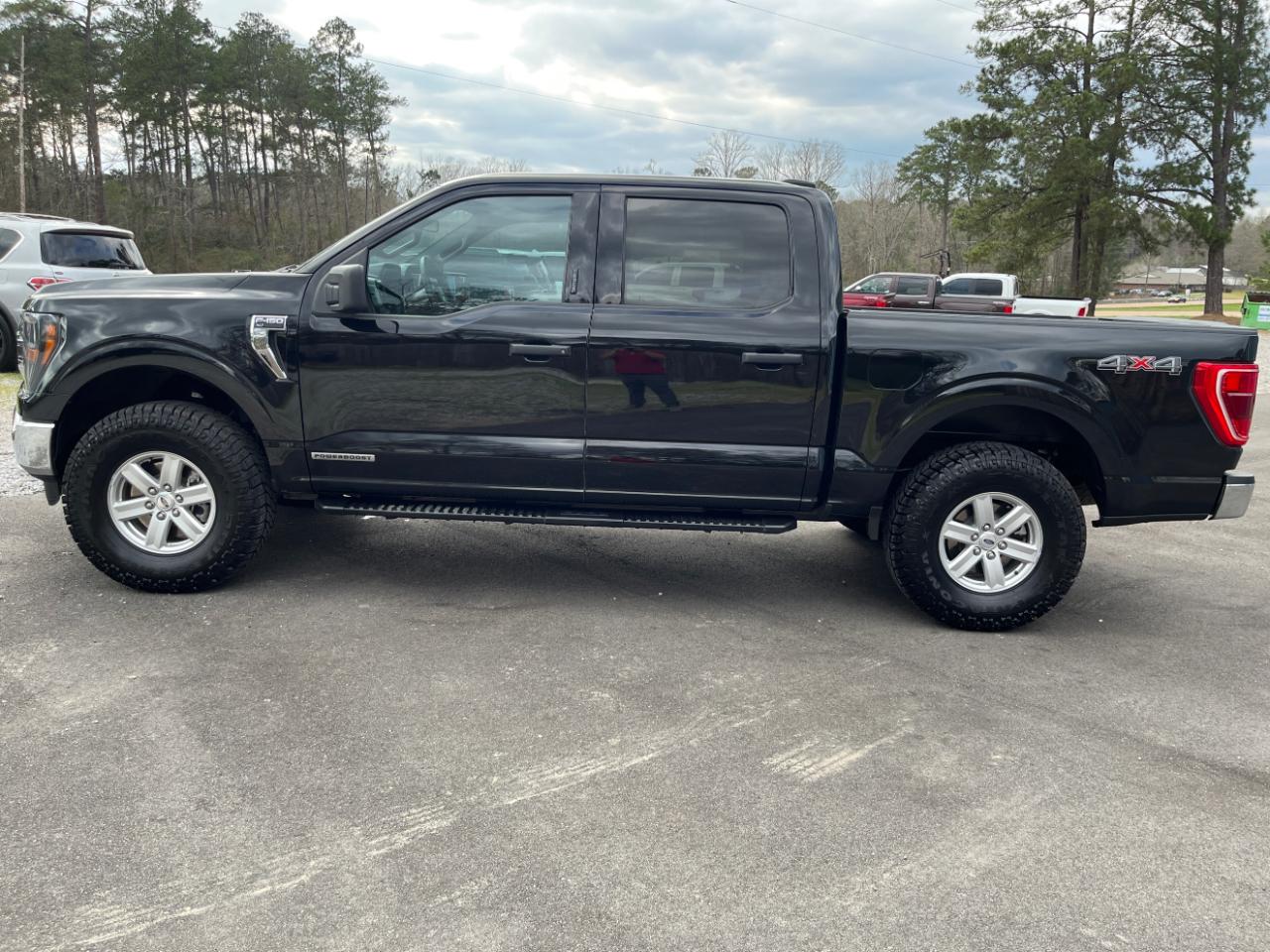 Ford F-150 XLT 4WD SuperCrew 5.5' Box 2023