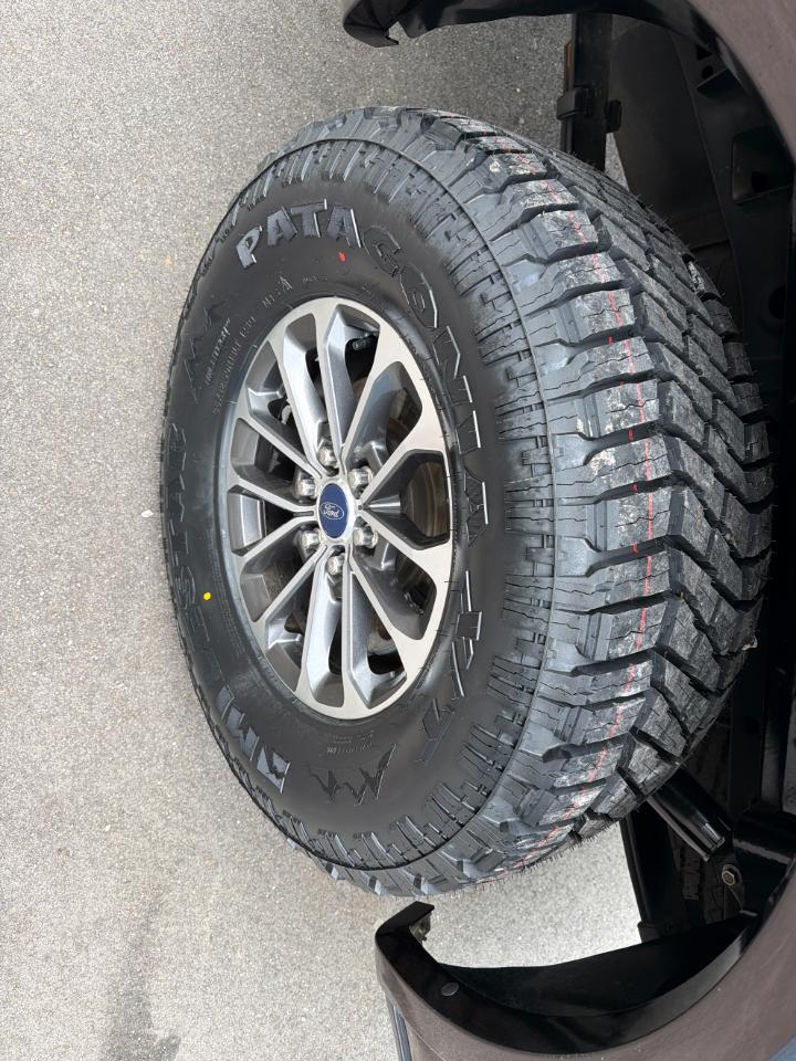 Ford F-150 XLT 4WD SuperCrew 5.5' Box 2019