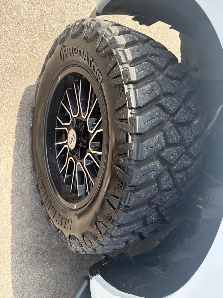 Ford F-150 XLT 4WD SuperCrew 5.5' Box 2022