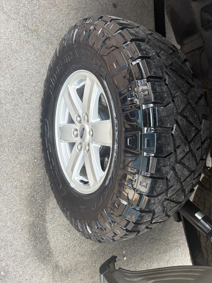 Ford F-150 XLT 4WD SuperCrew 5.5' Box 2021