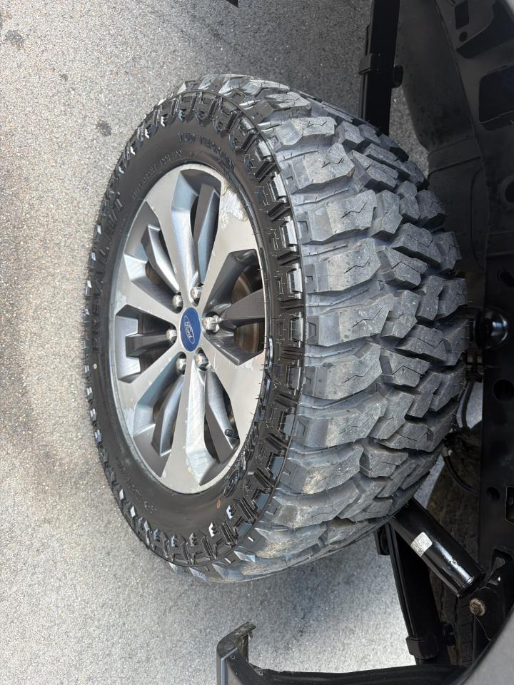 Ford F-150 XLT 4WD SuperCrew 5.5' Box 2019