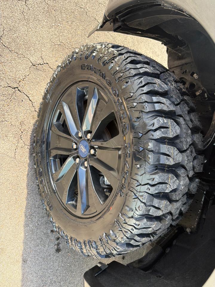 Ford F-150 XLT 4WD SuperCrew 5.5' Box 2019