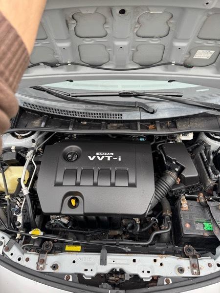 Toyota Corolla LE 2010