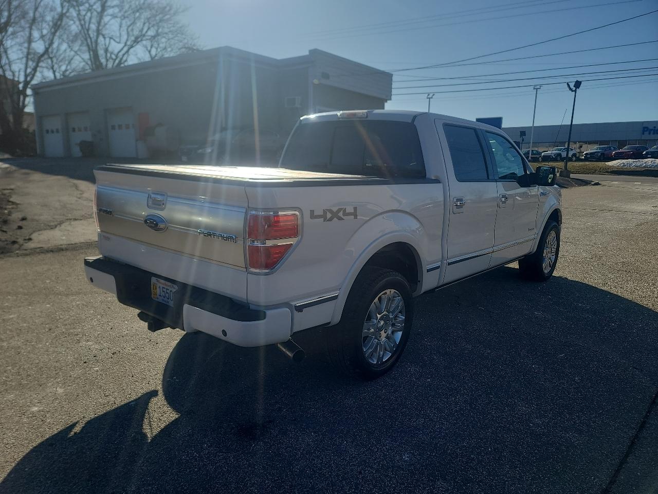 Ford F-150 4WD SuperCrew 145" Platinum 2014