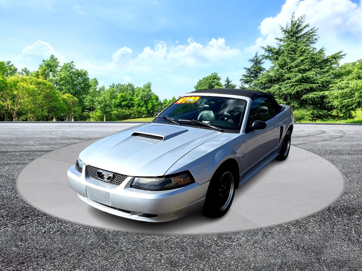 Ford Mustang Deluxe Convertible 2004