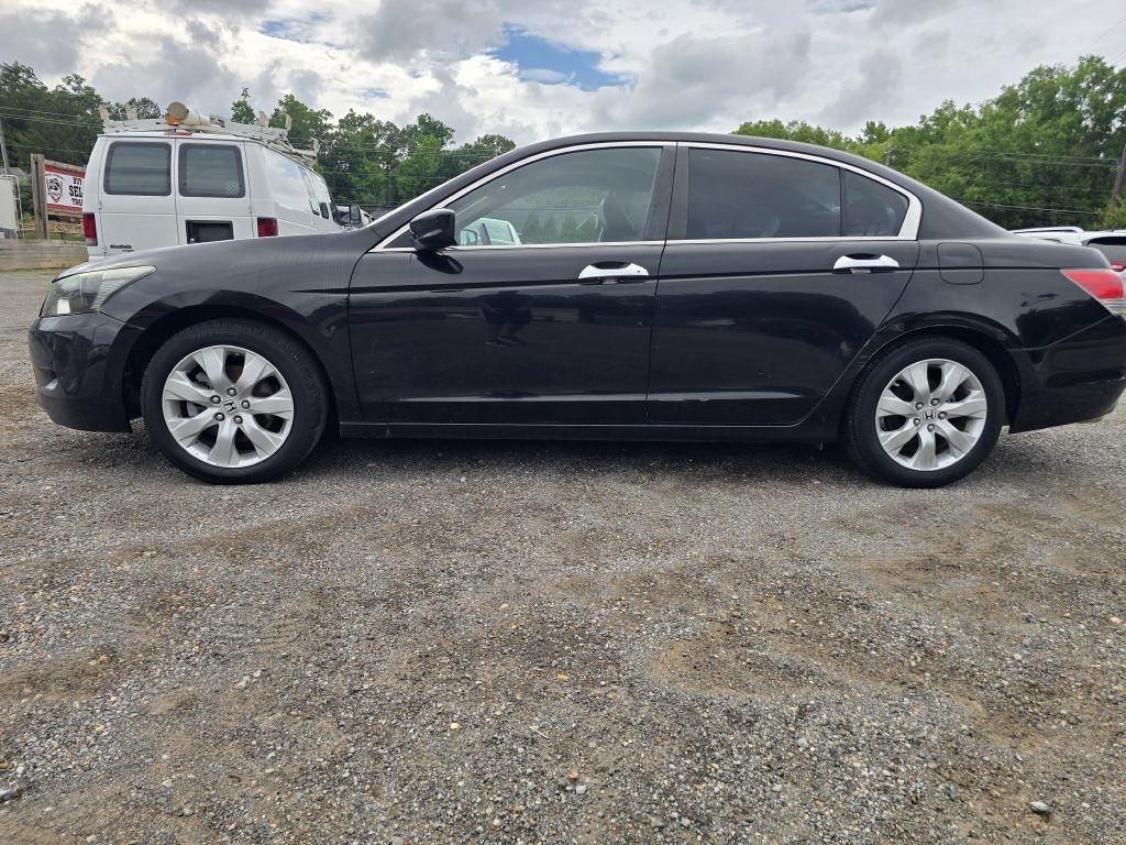 Honda Accord  2010