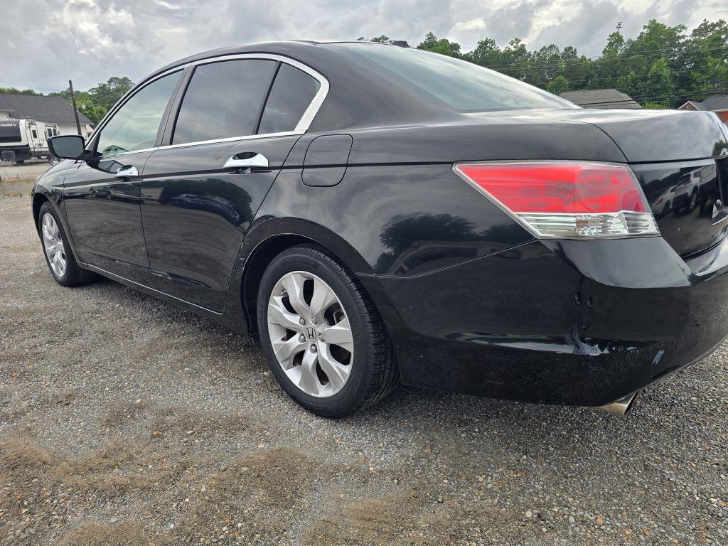 Honda Accord  2010
