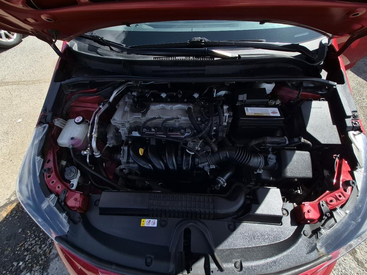 Toyota Corolla LE 2020