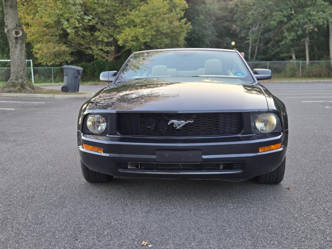 Ford Mustang V6 Premium Convertible 2008
