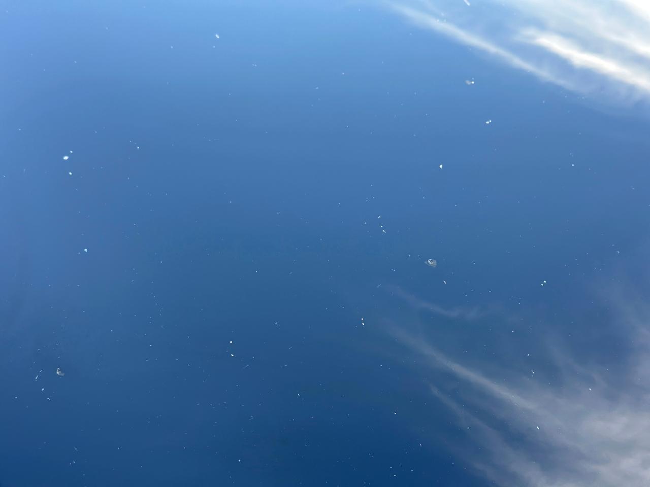 Hyundai Genesis 5.0L RWD 2015