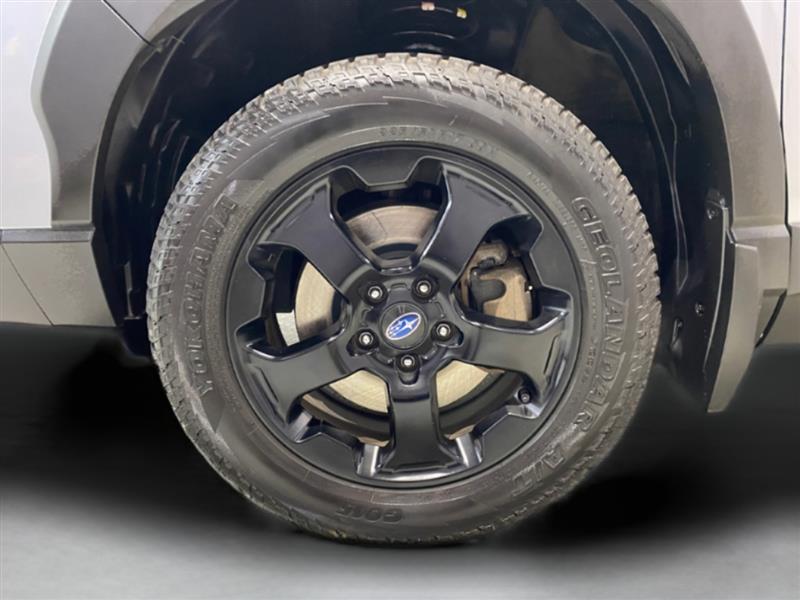 Subaru Forester Wilderness CVT 2022