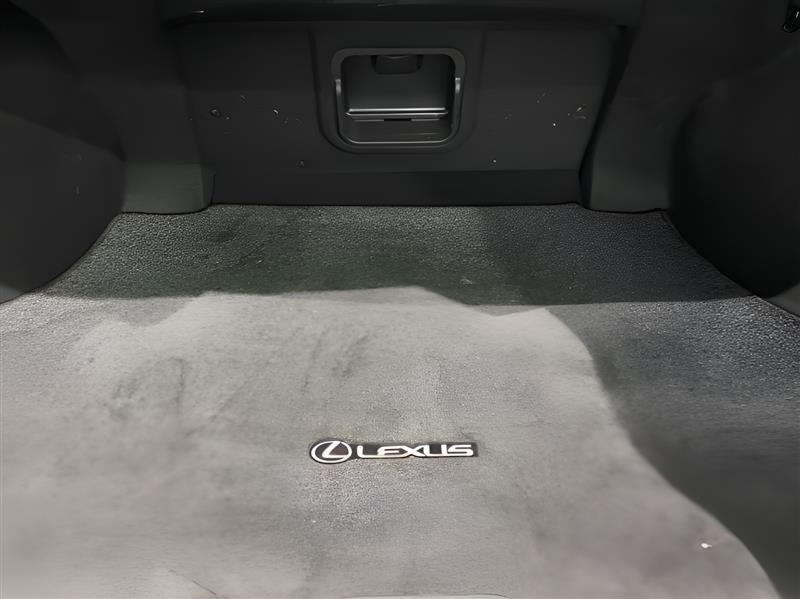 Lexus ES 350 F SPORT 2022