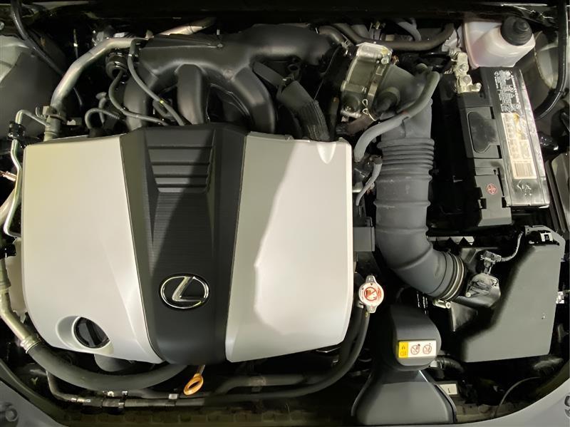 Lexus ES 350 Luxury 2019