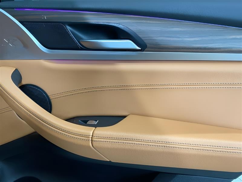 BMW X3 sDrive30i Sports Activity Vehicle 2021