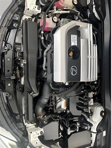 Lexus UX 250h  2019
