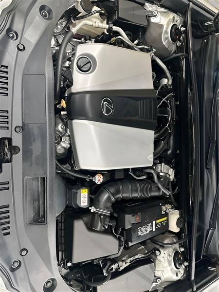 Lexus ES 350 Luxury 2019